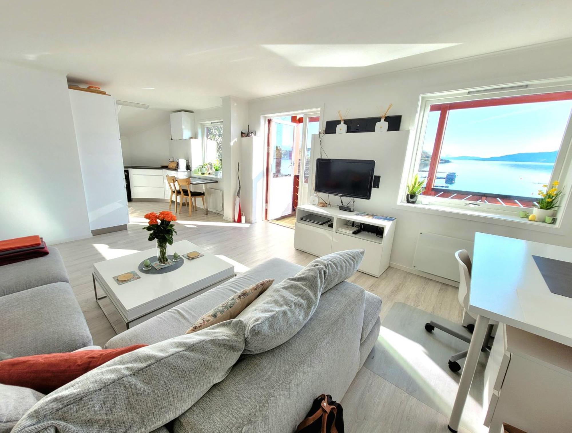 Beautiful Panoramic Apartment Vestnes